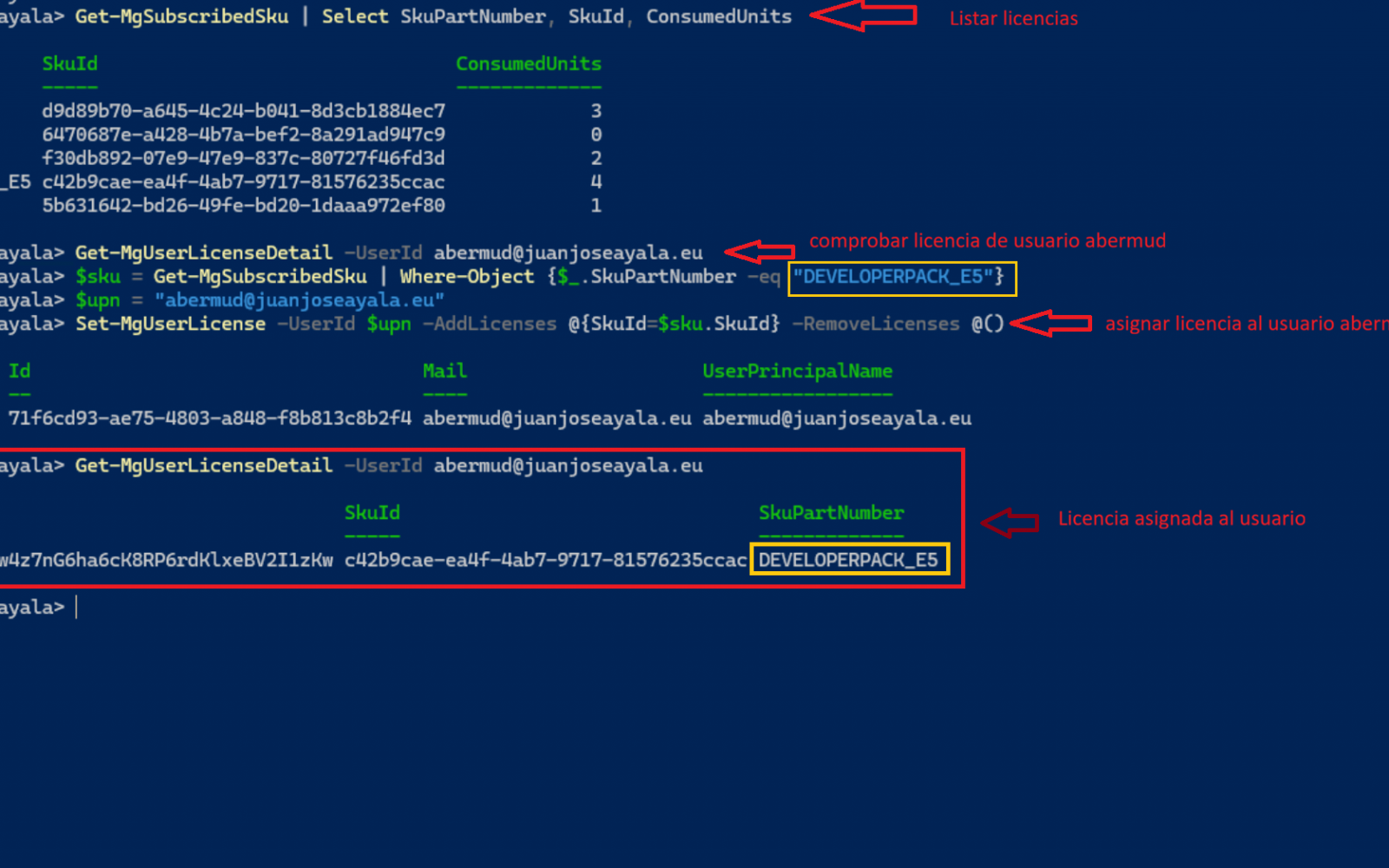 asignada licencia M365